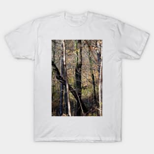 Trees Tall and Valley T-Shirt